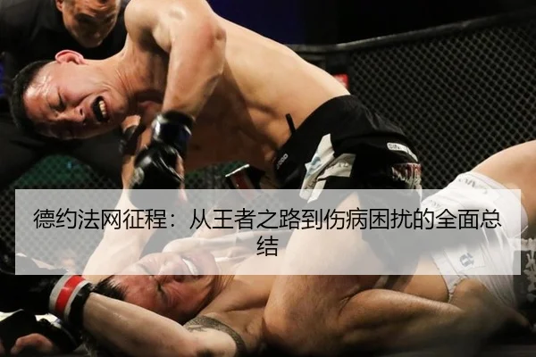 德约法网征程：从王者之路到伤病困扰的全面总结